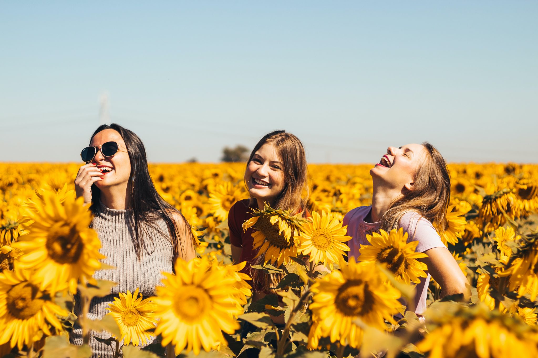 girls laughing in sunflower field