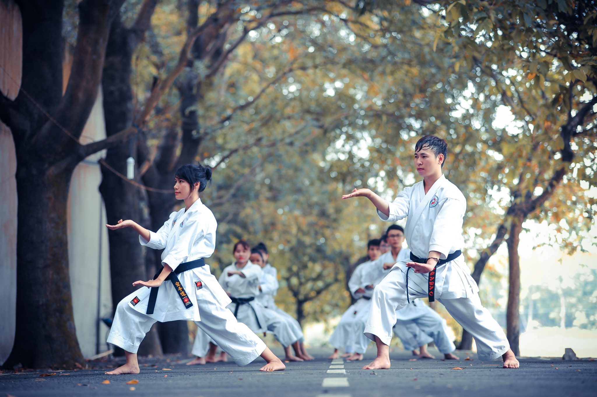 people practicing martial arts outside