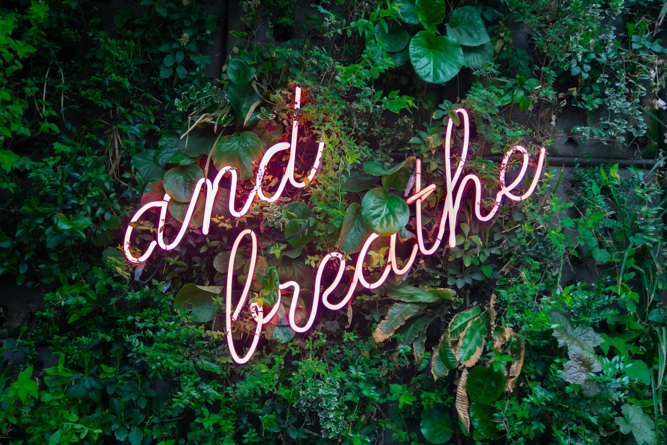 "and breath" neon sign