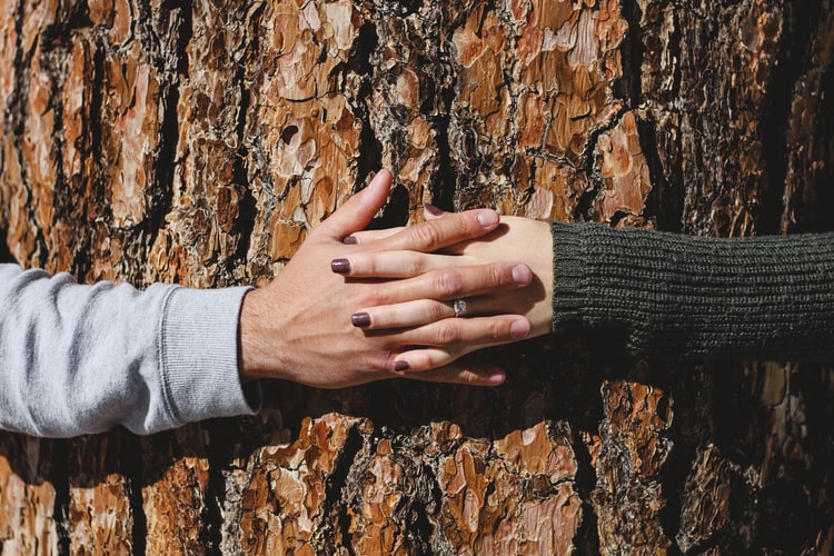 People holding hand on Tree Amphy