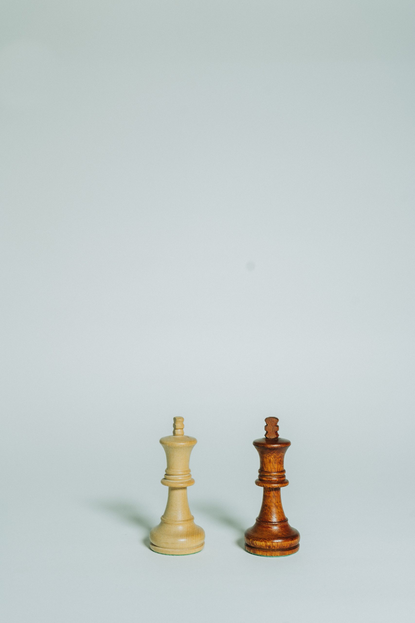 what and black king chess piece standing beside each other