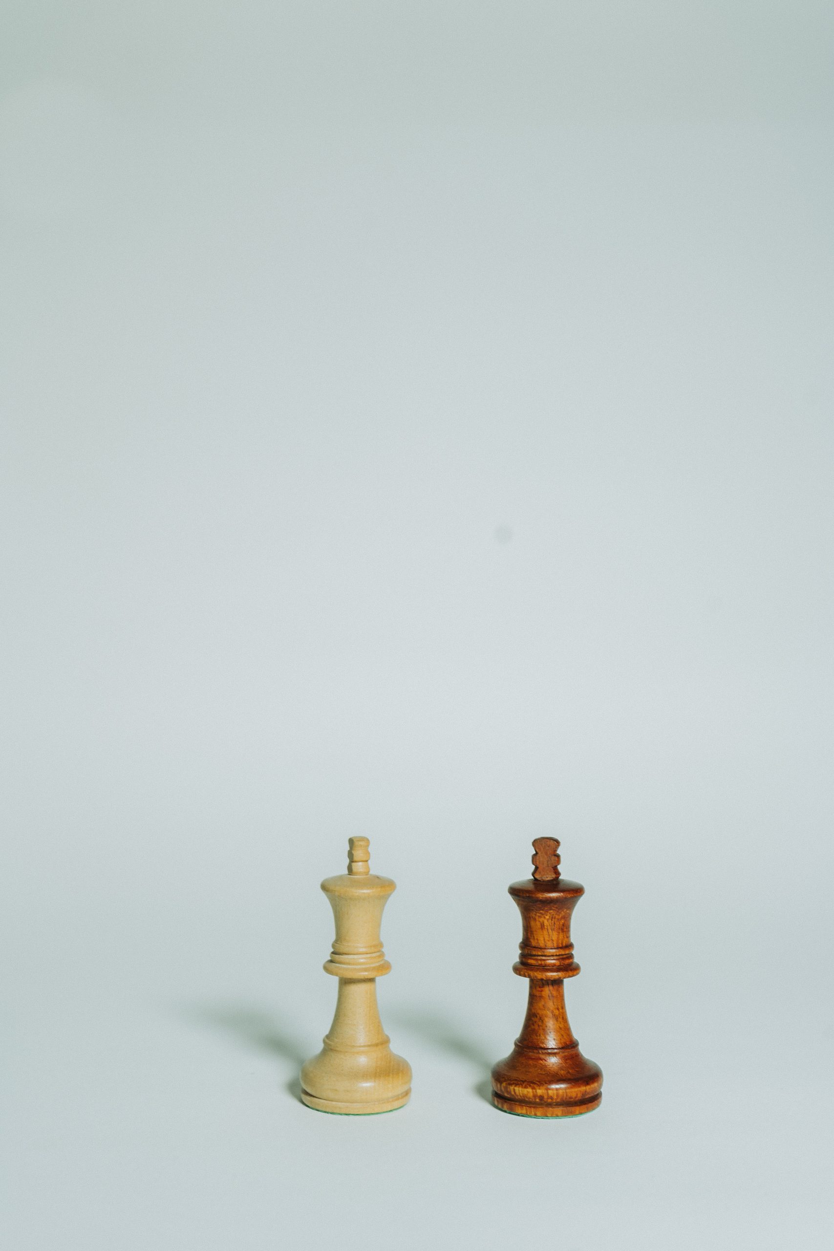 ▷ Chess titans online: Learn about a strong guide for chess beginners in 2023.