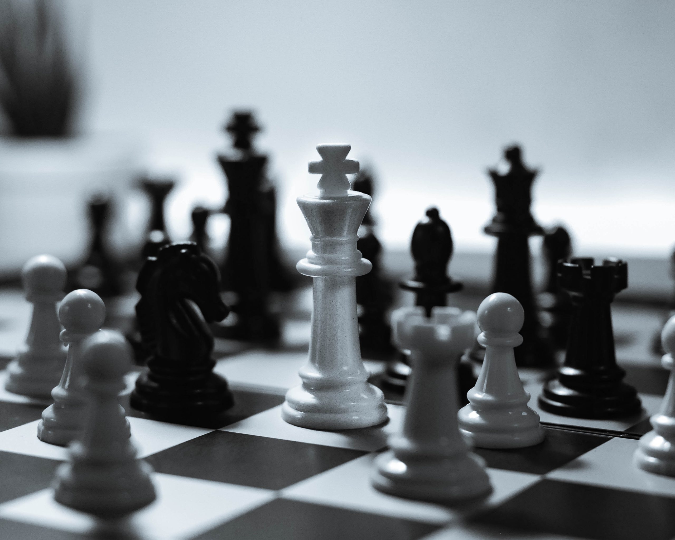 Chess Pieces 101: Names, Moves, and Value - The School Of Rook